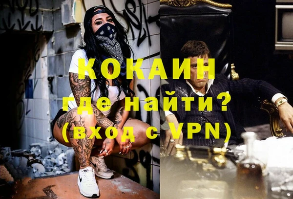 прущие грибы Богданович