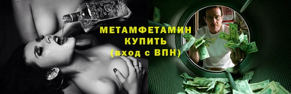 прущие грибы Богданович