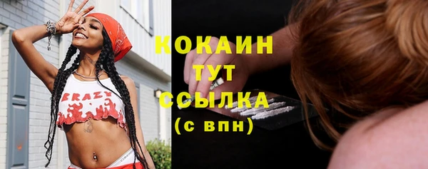 mix Богородицк