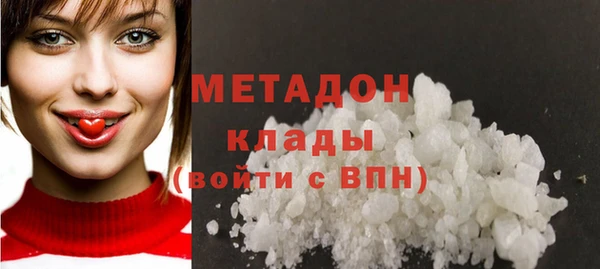 прущие грибы Богданович