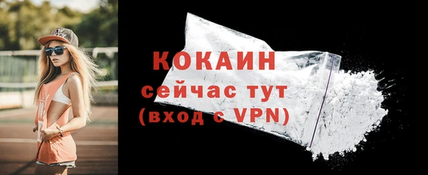 mix Богородицк