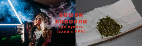прущие грибы Богданович