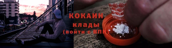 прущие грибы Сафоново