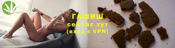 прущие грибы Богданович