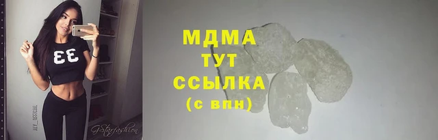 прущие грибы Богданович