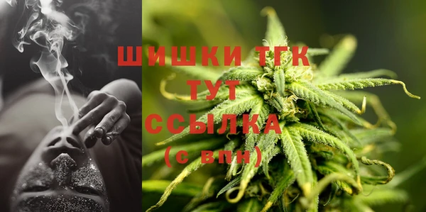 стаф Богородск