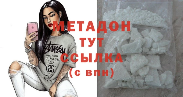 прущие грибы Богданович