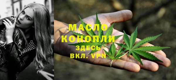 прущие грибы Богданович